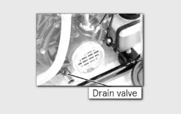 Drain Valve