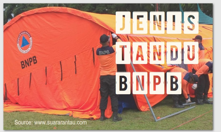 jenis-jenis tandu bnpb